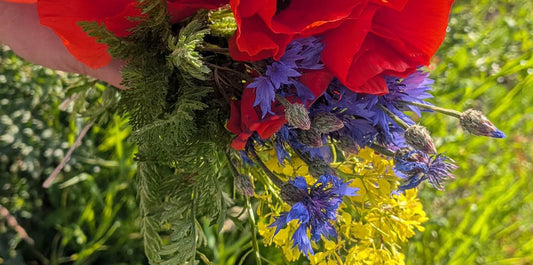 Bouquet of freshly picked wildflowers used to create handmade botanical jewelry – EL-Creations