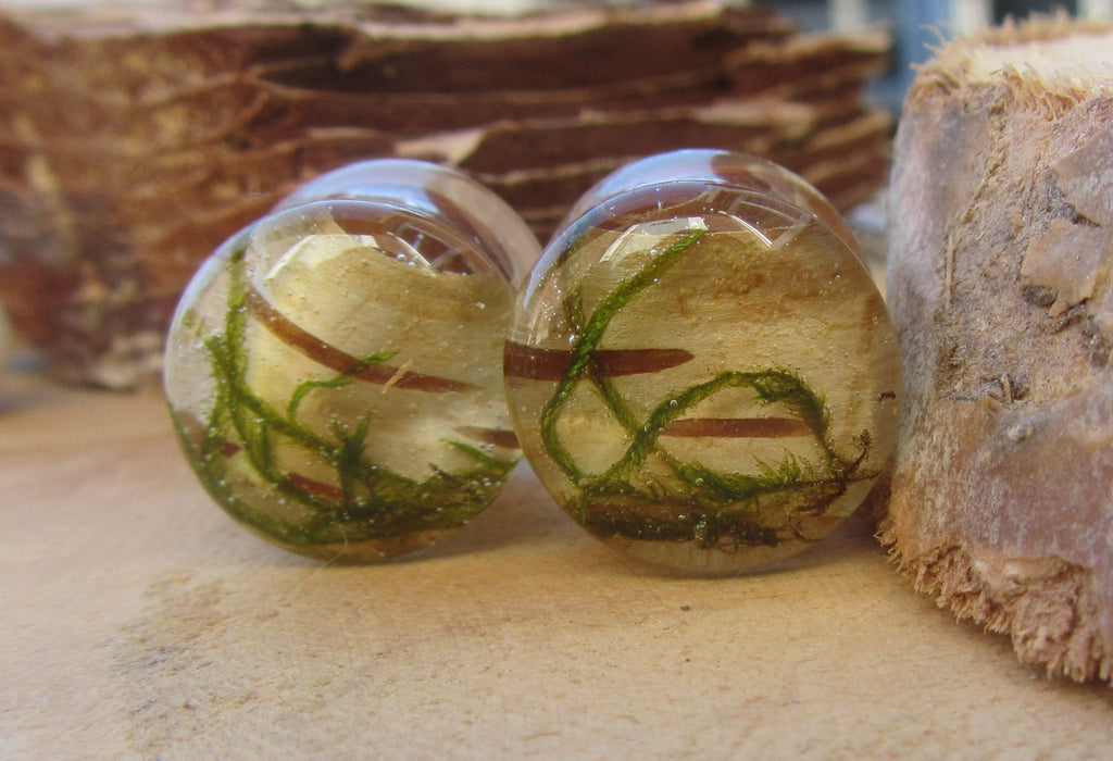 Nature plug earrings, moss plug gauges, plant tunnel plug earrings