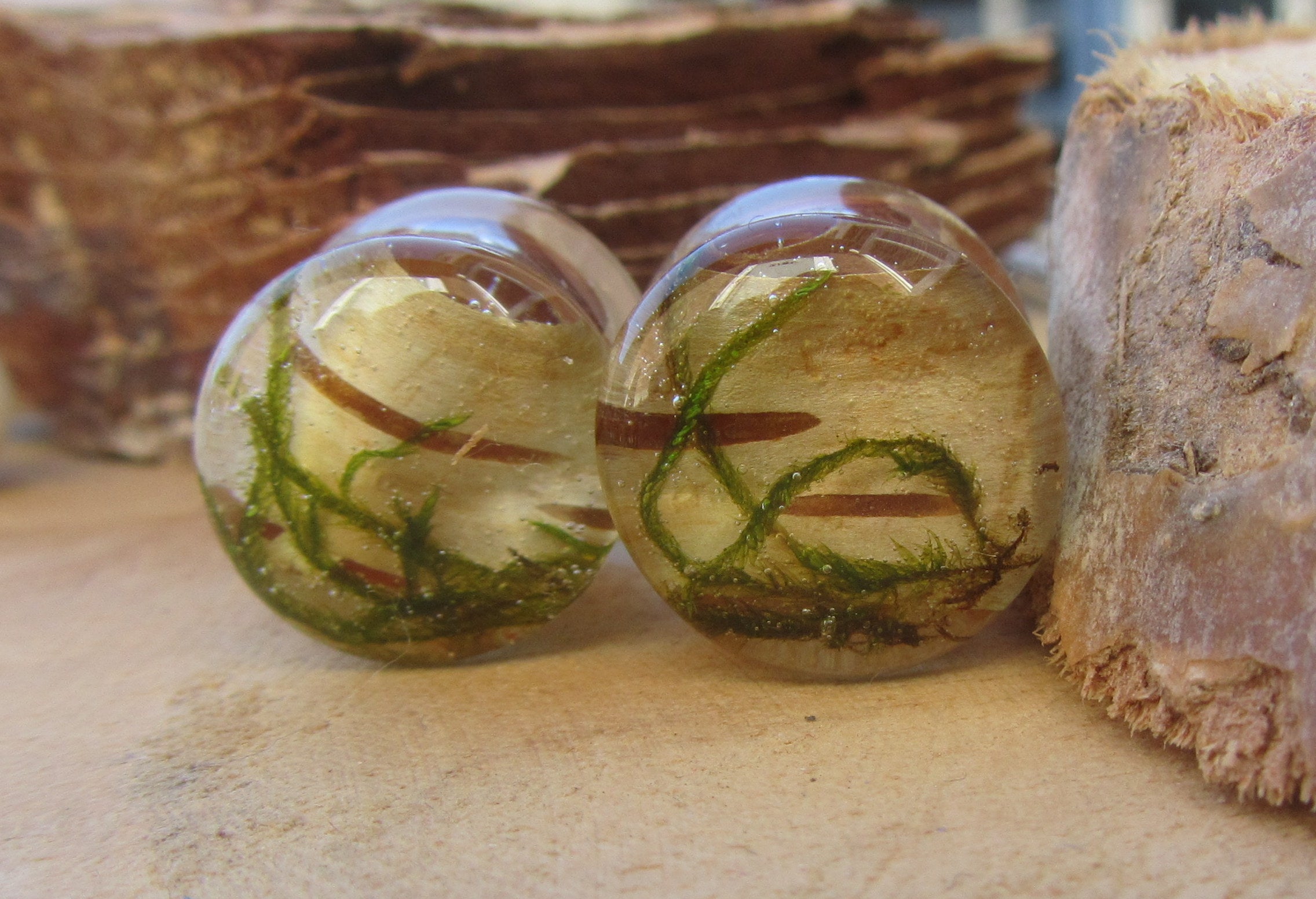 Nature plug earrings, moss plug gauges, plant tunnel plug earrings