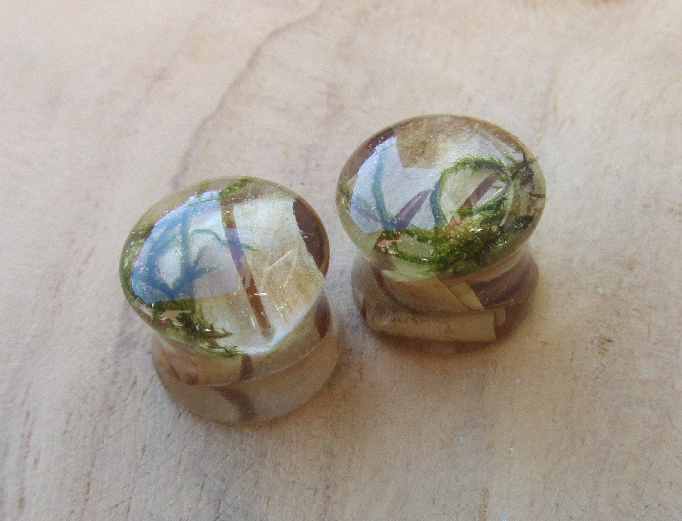 Nature plug earrings, moss plug gauges, plant tunnel plug earrings