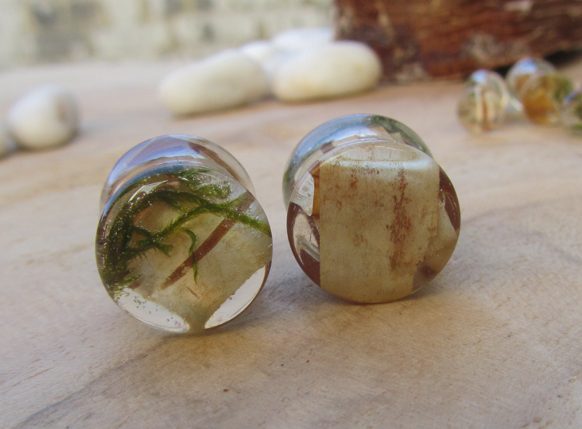 Nature plug earrings, moss plug gauges, plant tunnel plug earrings