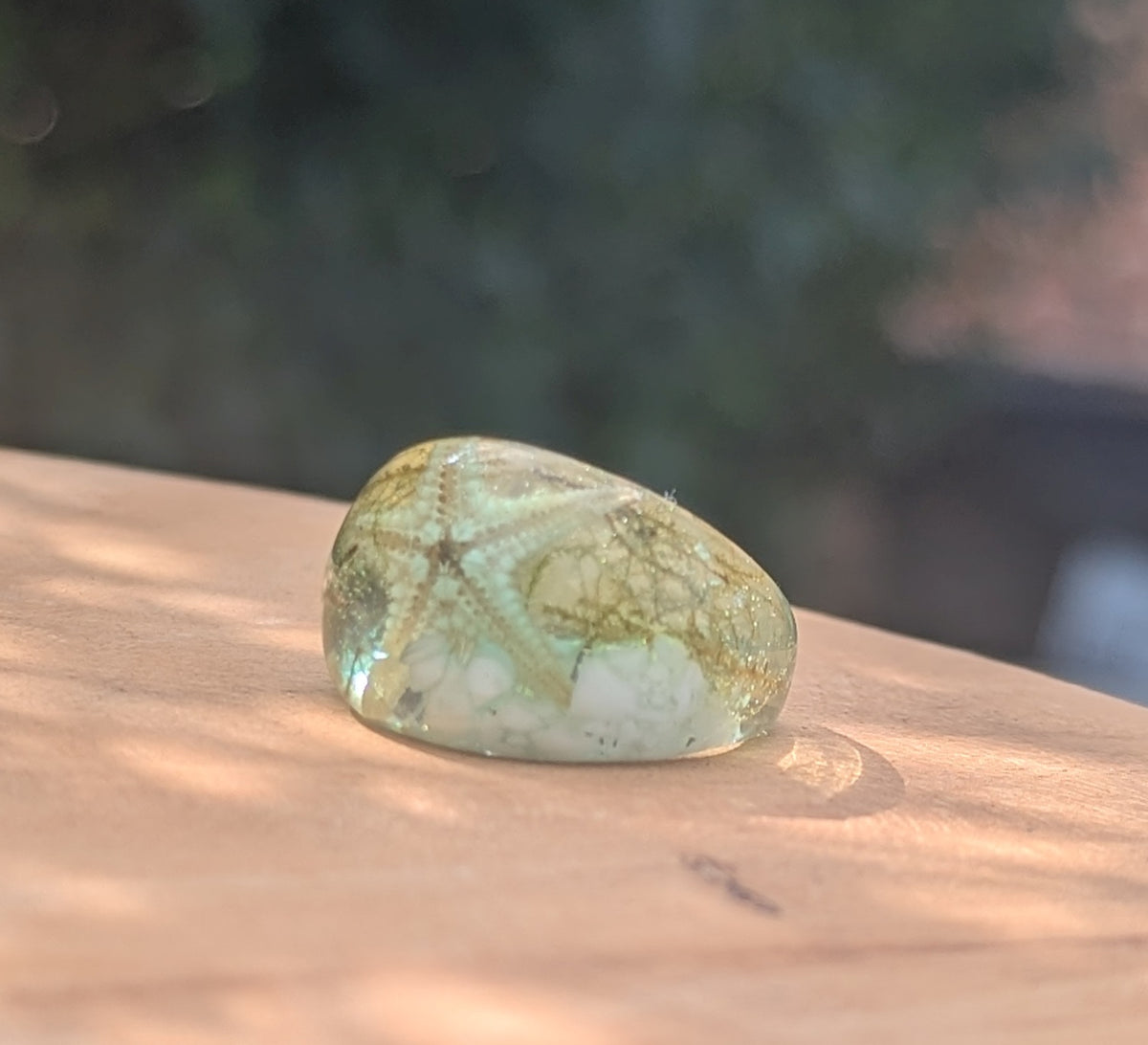 Handmade beach themed resin ring with starfish and moss by EL-Creations