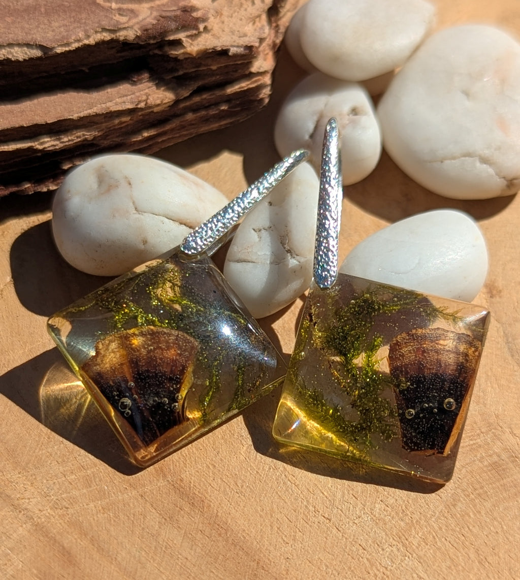 Boucles d'oreilles en mousse et champignons naturels de la forêt, bijoux en mousse, bijoux naturels de la forêt