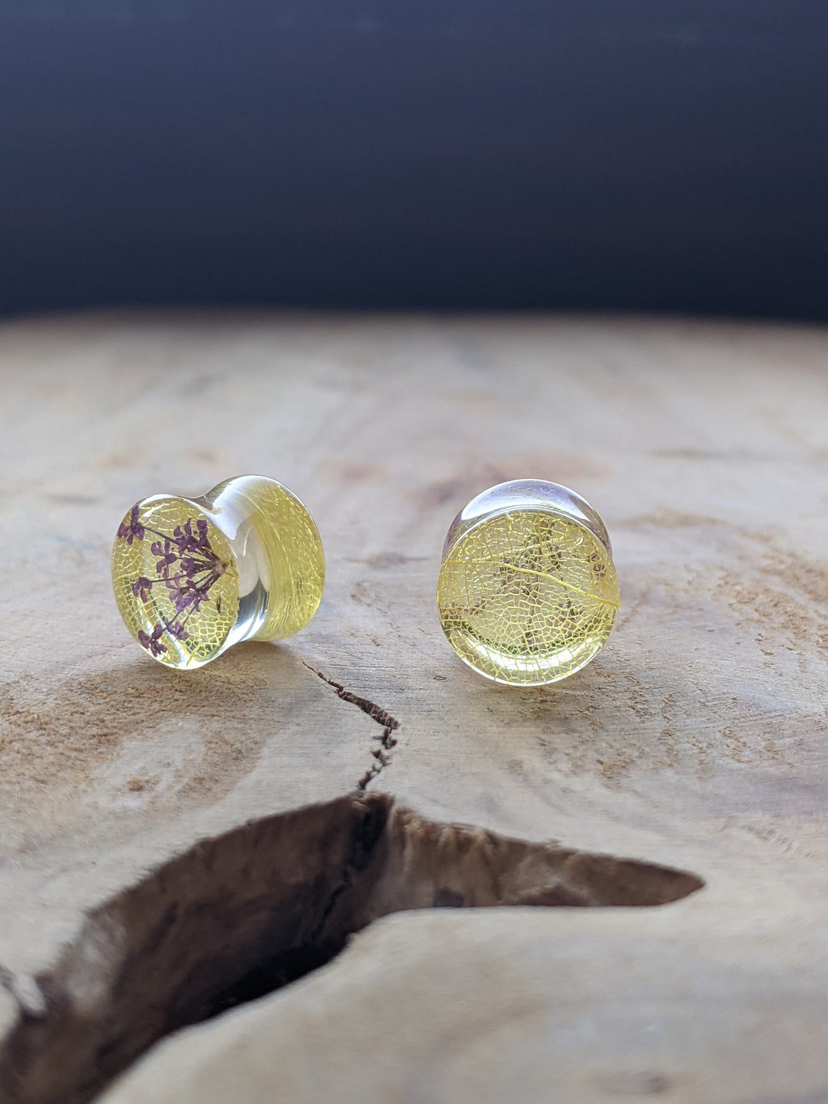 Crystal clear resin ear plugs with skeleton leaf - EL-Creations