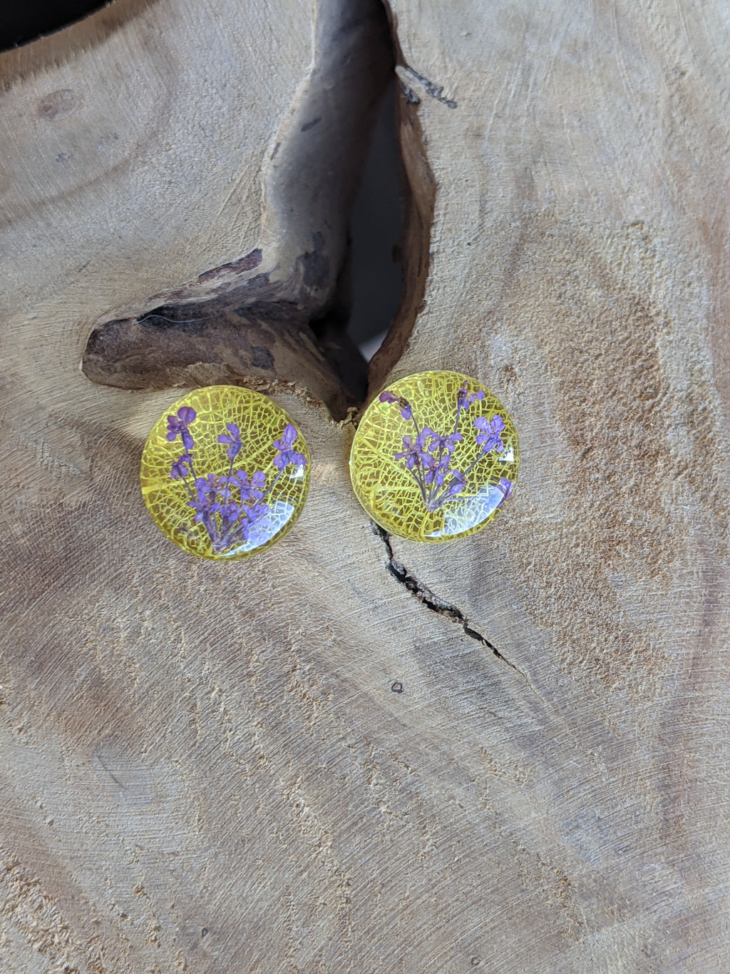 Boucles d'oreilles clous en résine avec fleur de feuille squelette jaune