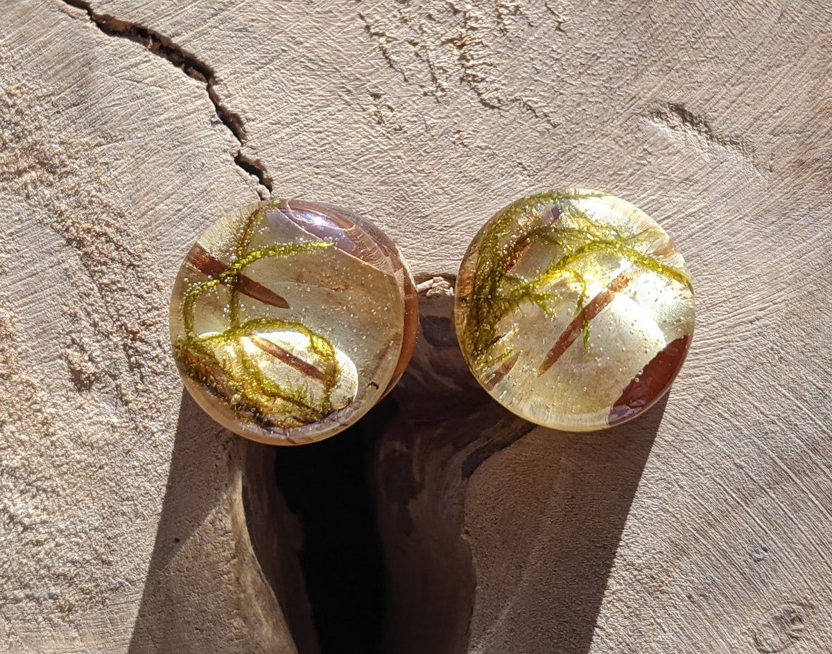 Botanical resin plugs with real moss