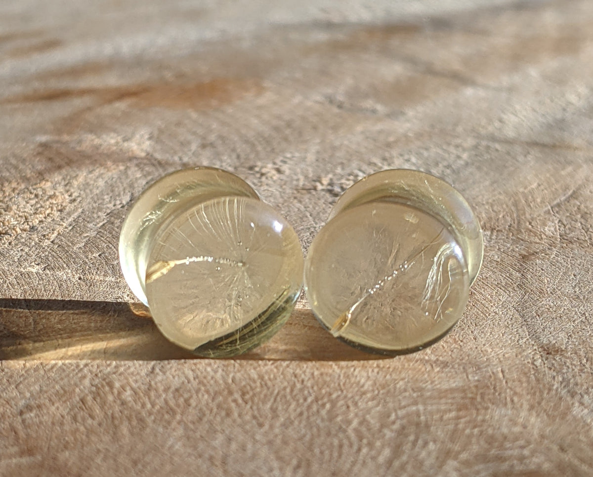 Nature inspired resin ear plugs with real dandelion seed design EL-Creations