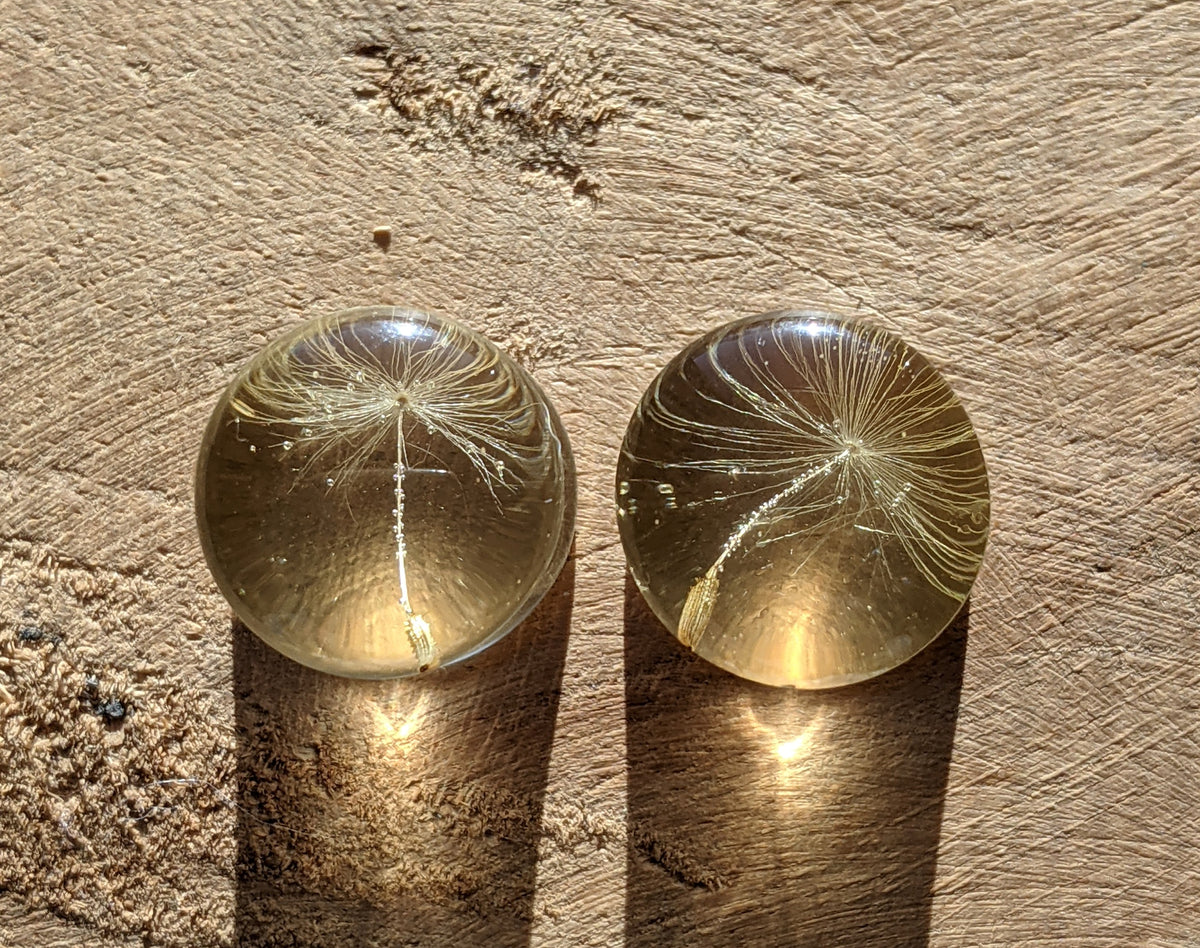 Handmade botanical ear gauge jewelry with real dandelion seeds EL-Creations