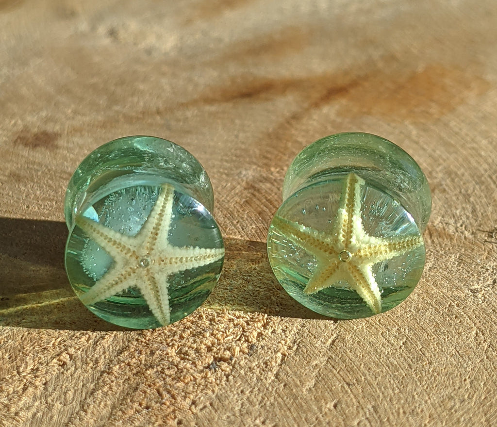 Starfish gauges, Clear blue gauges, Unisex tunnels