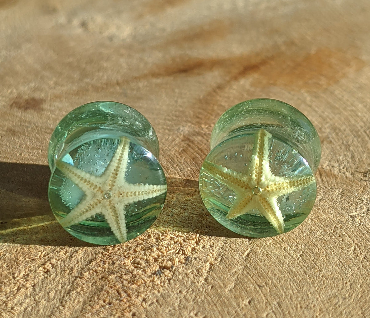 Clear resin ear plugs with starfish design - EL-Creations