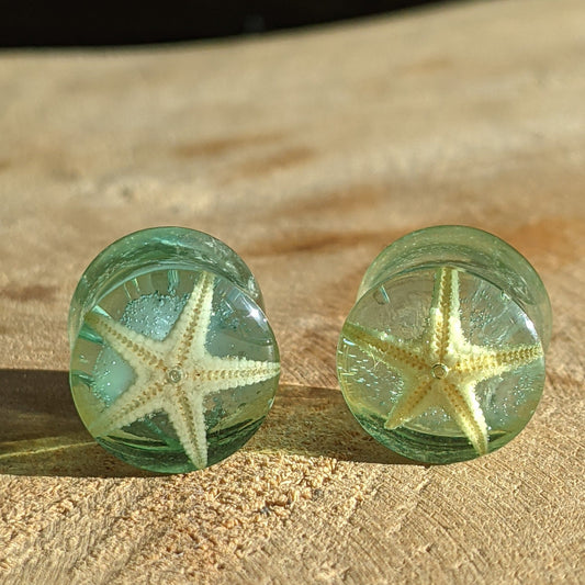 Blue starfish resin ear plugs in clear resin - EL-Creations