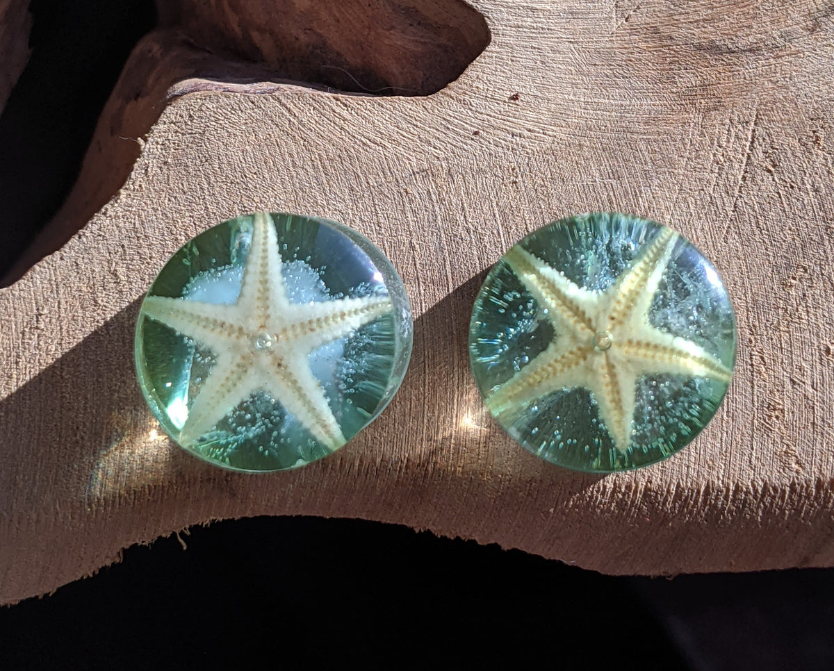 Handmade ocean resin ear plugs with blue starfish - EL-Creations