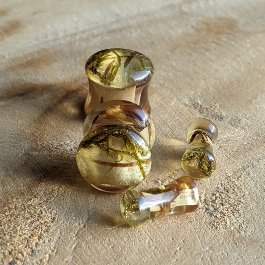 Moss resin ear plugs with real preserved moss
