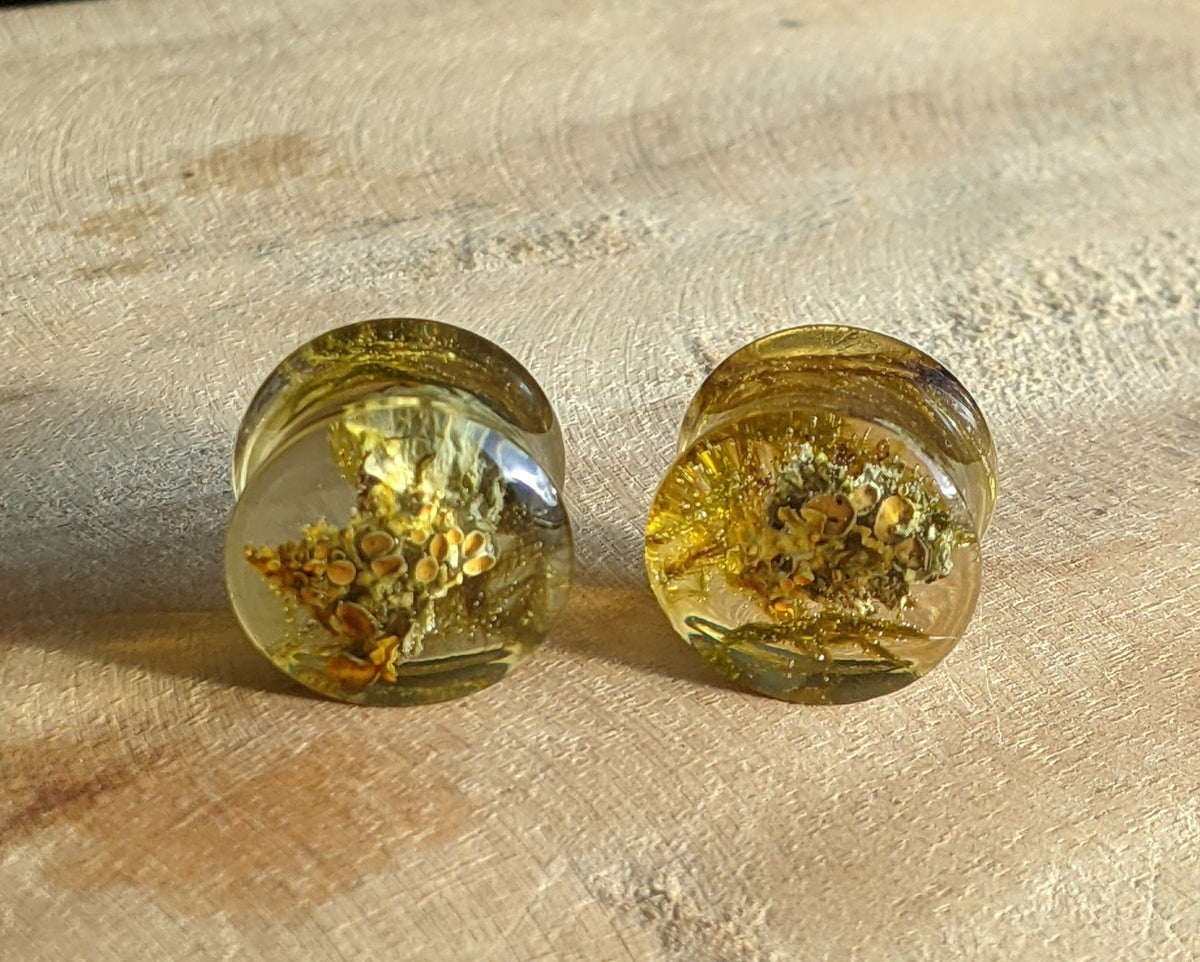 Handmade resin ear plugs with natural green moss - EL-Creations