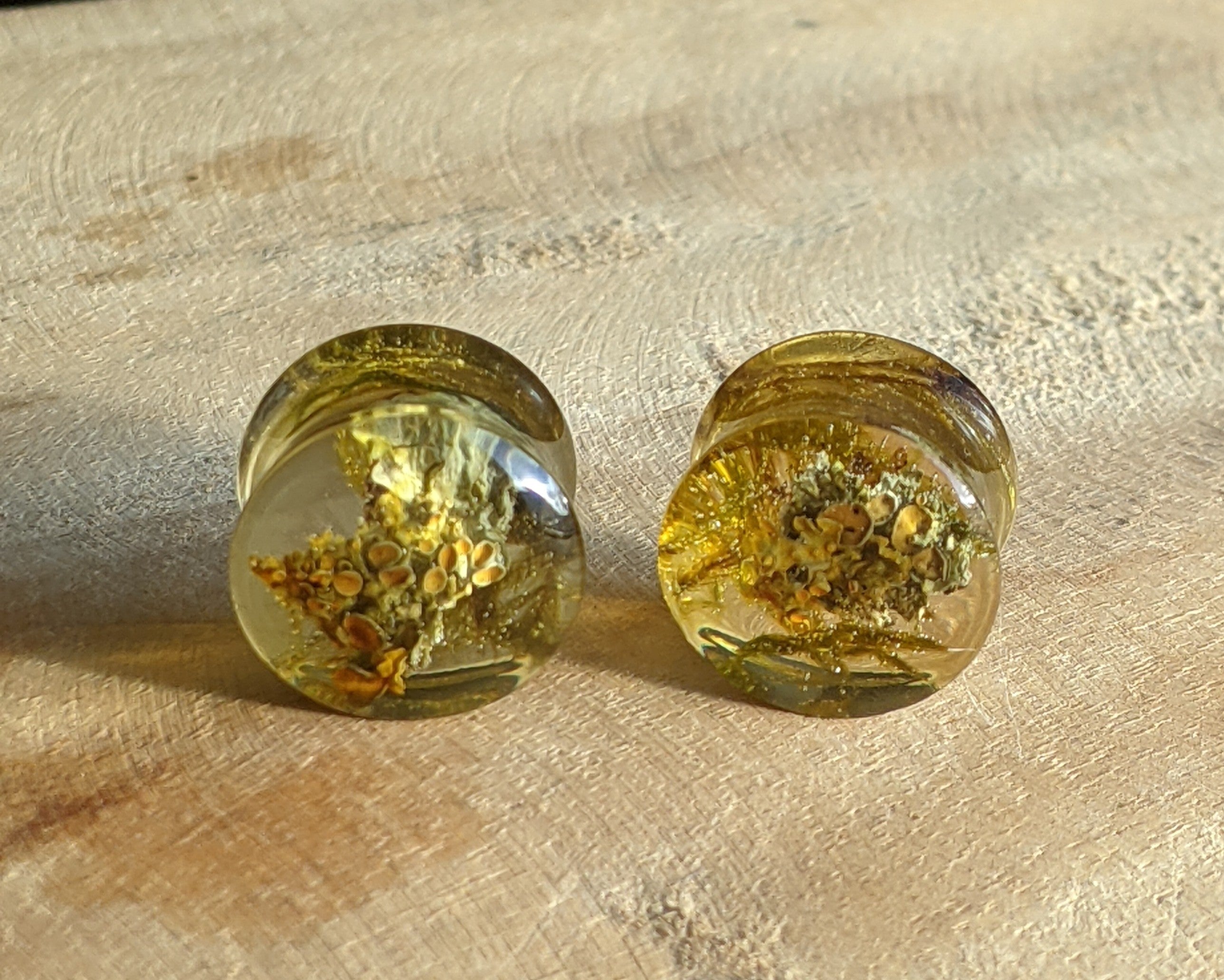 Écarteurs d'oreilles en mousse naturelle, tunnels en mousse verte de 14 mm, boucles d'oreilles plug unisexes