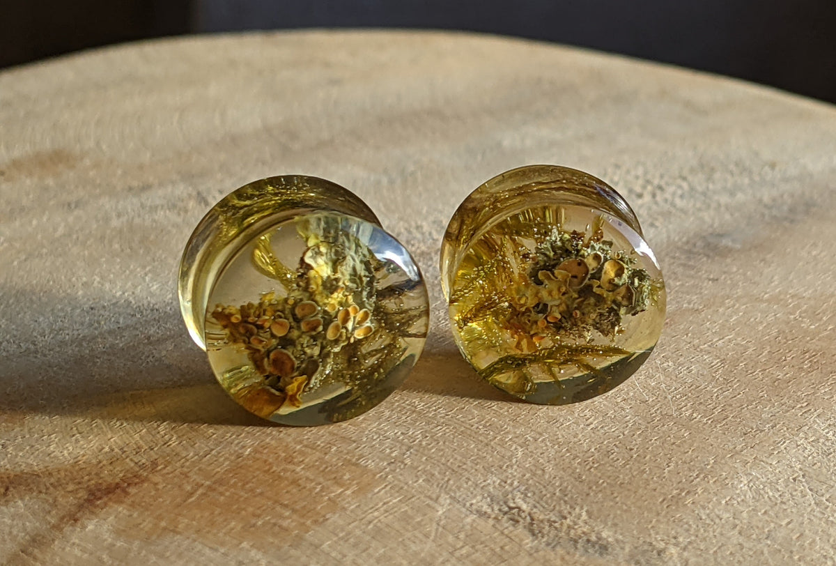 Forest inspired resin tunnels for stretched ears - EL-Creations