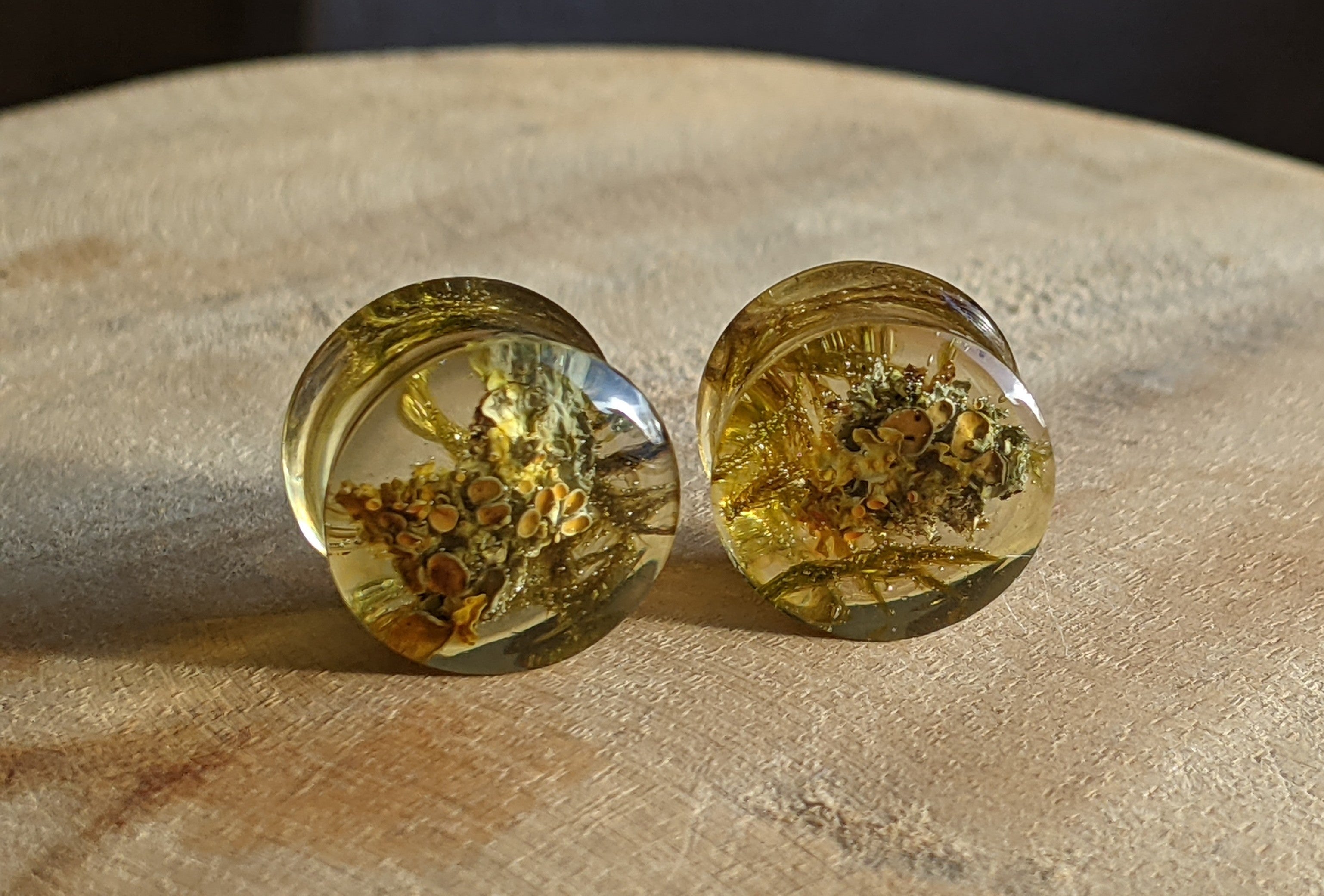 Écarteurs d'oreilles en mousse naturelle, tunnels en mousse verte de 14 mm, boucles d'oreilles plug unisexes