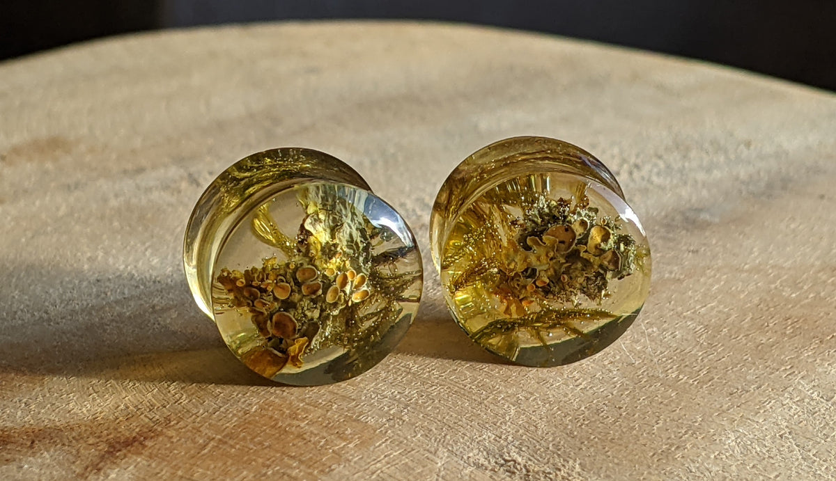 Crystal clear resin ear plugs with real moss - EL-Creations