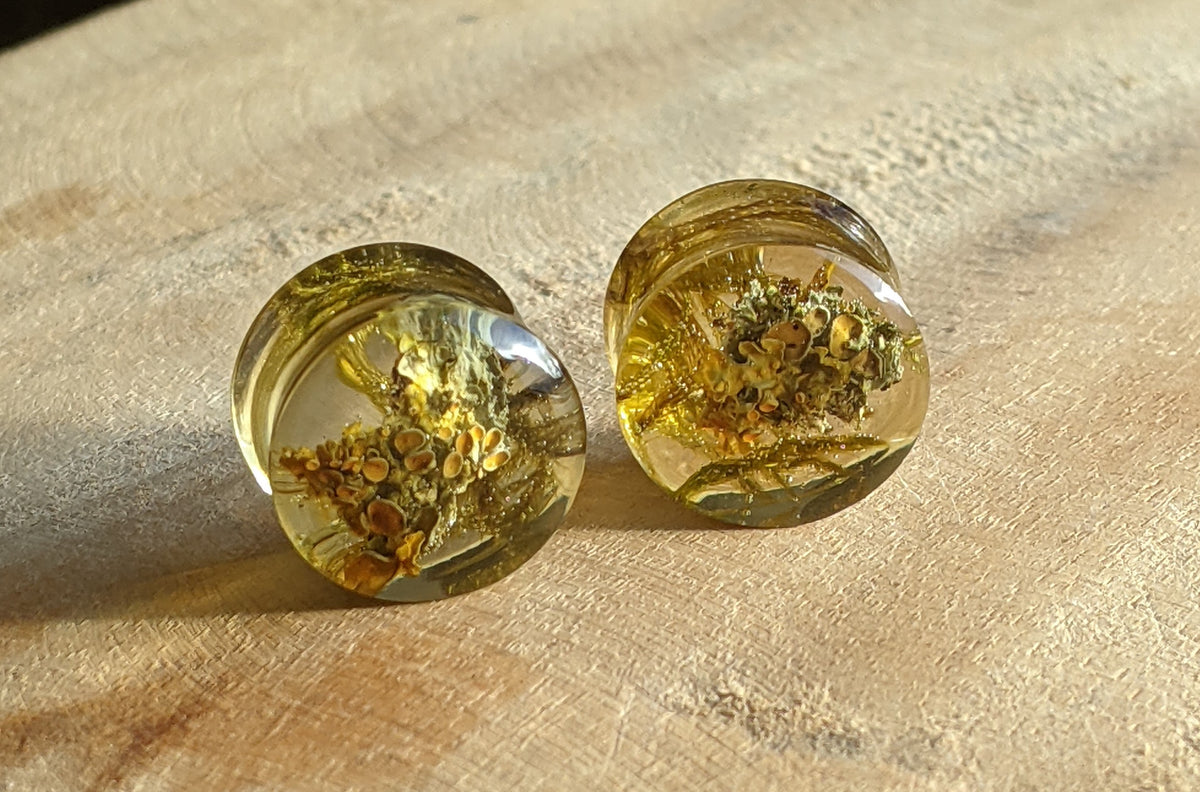 Nature inspired green moss resin ear plugs - EL-Creations