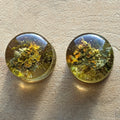 Nature moss ear gauges, 14 mm green moss tunnels, Unisex plug earrings