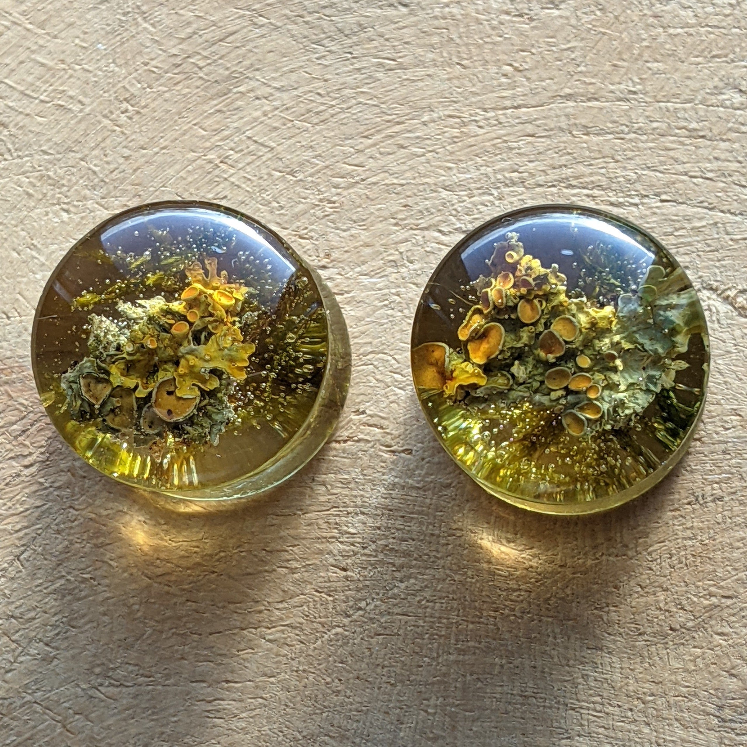 Nature moss ear gauges, 14 mm green moss tunnels, Unisex plug earrings