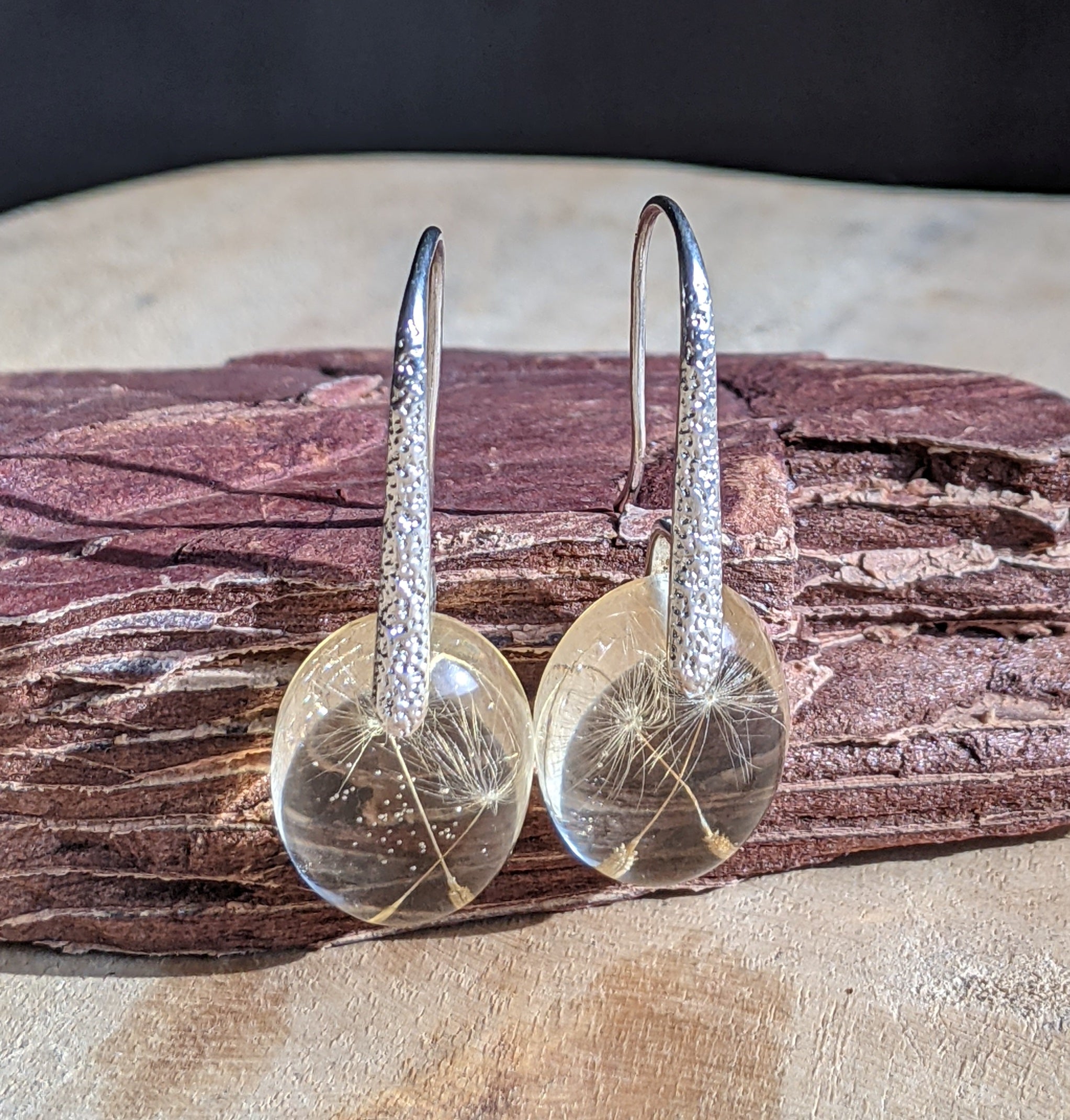 Pair of earrings with clear circular dandelion and textured silver hooks on a wooden surface.