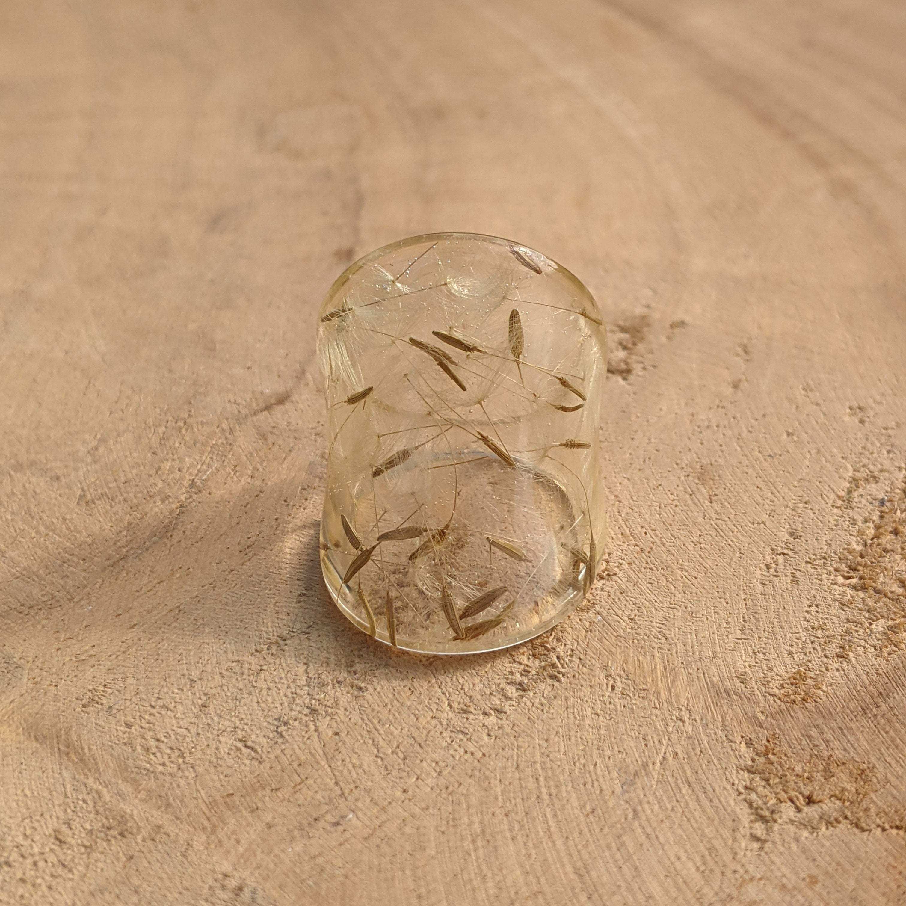 Clear glass container with small plants on a wooden surface