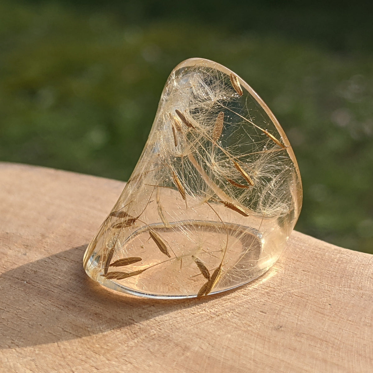 Dandelion seed resin ring with real dandelion seeds – EL-Creations