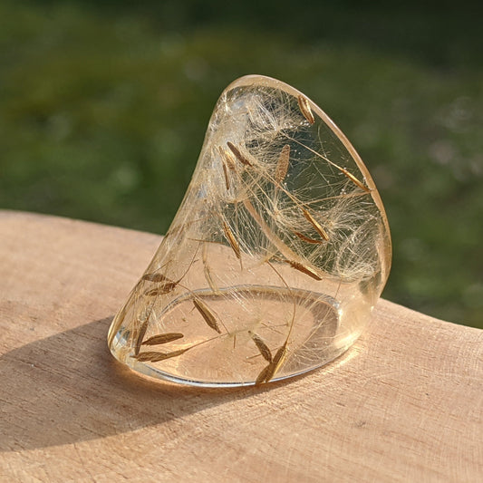 Dandelion seed resin ring with real dandelion seeds – EL-Creations