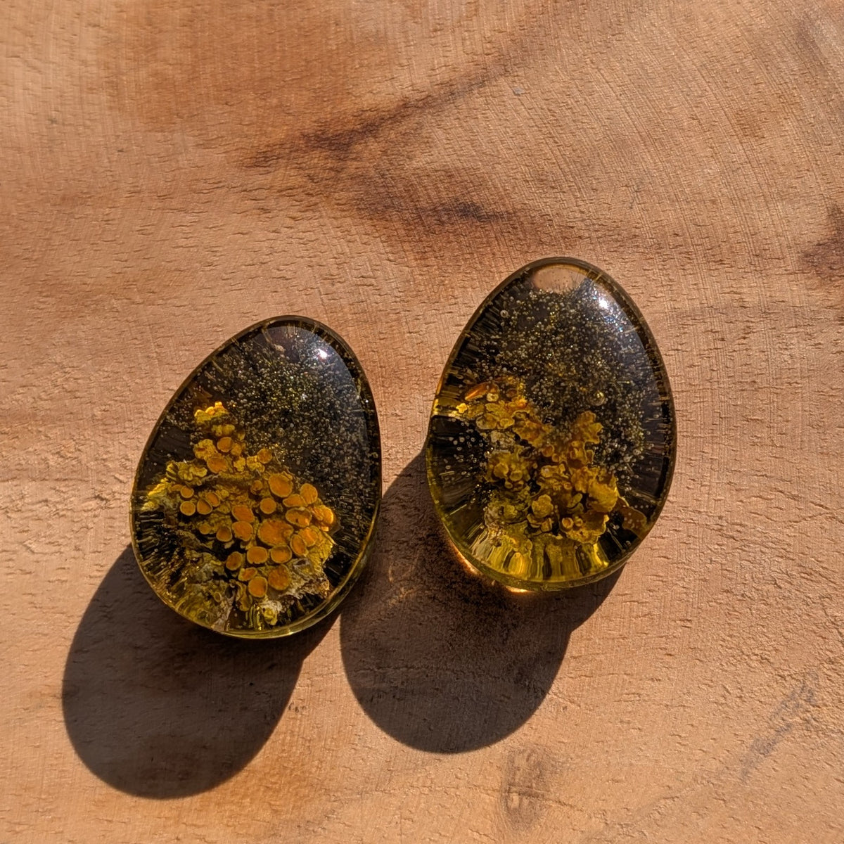 Handmade moss resin ear gauges with botanical forest design EL-Creations