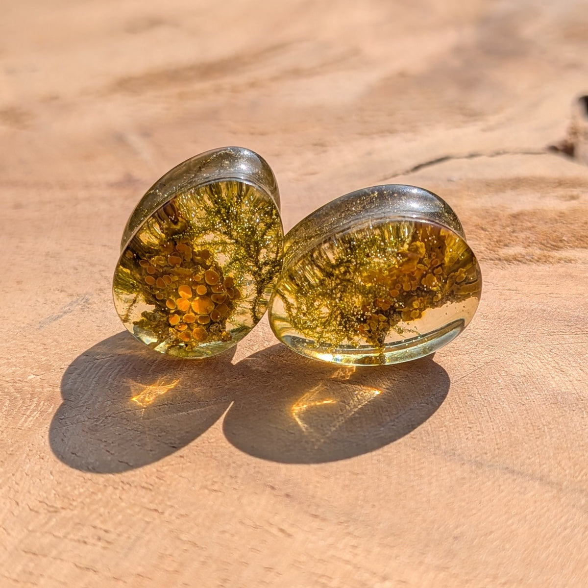 Botanical teardrop resin ear gauges with real preserved moss EL-Creations