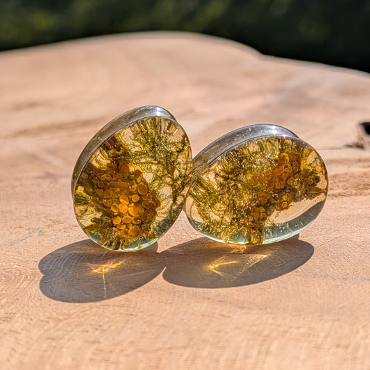Yellow green moss teardrop resin ear plugs handmade botanical jewelry EL-Creations