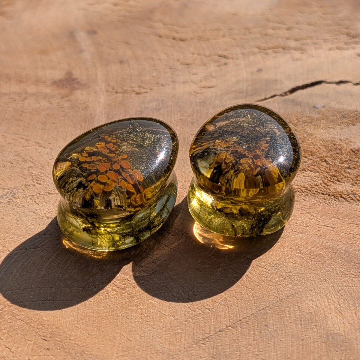 Close up of preserved yellow green moss inside clear resin ear plugs EL-Creations