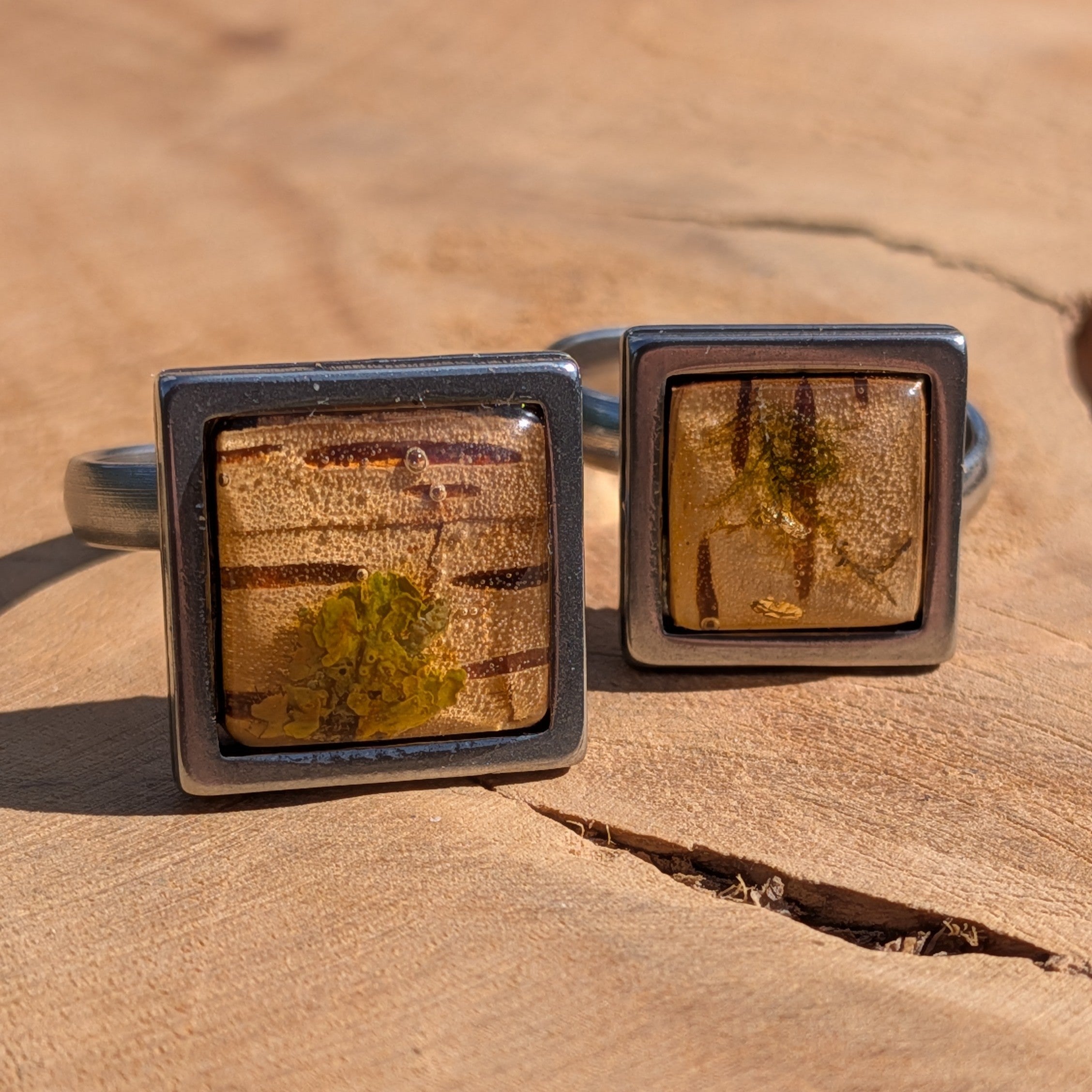 Moss and birch bark resin ring on wood, 14mm square gunmetal stainless steel bezel with amber resin dome – EL-Creations