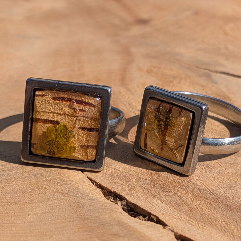 Two moss and birch bark resin rings on wood, 14mm and 15mm square stainless steel bezels – EL-Creations