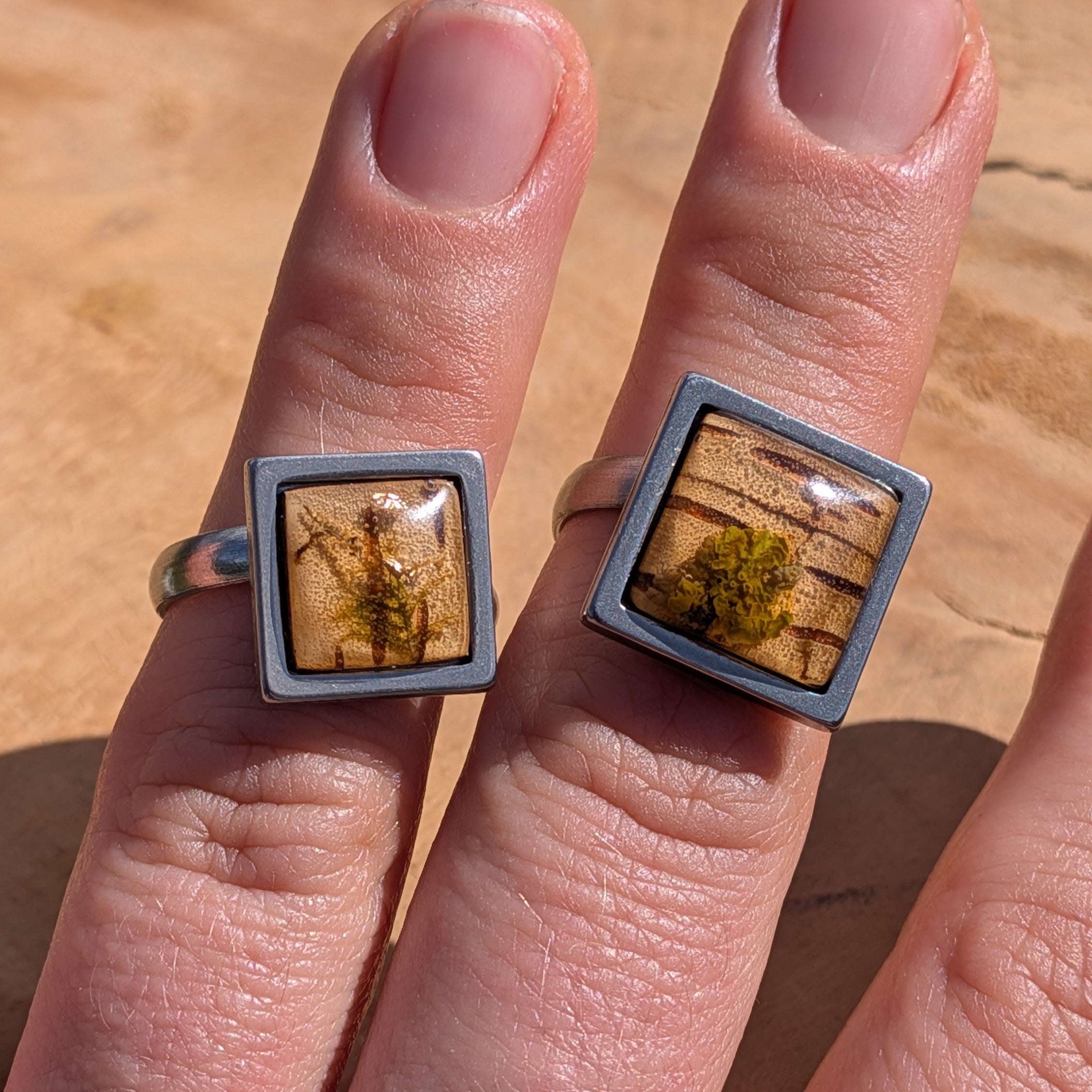 Two moss and birch bark resin rings worn on fingers side by side, 14mm and 15mm square stainless steel settings – EL-Creations