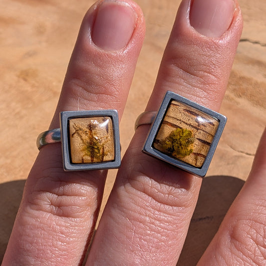 Two moss and birch bark resin rings worn on fingers side by side, 14mm and 15mm square stainless steel settings – EL-Creations