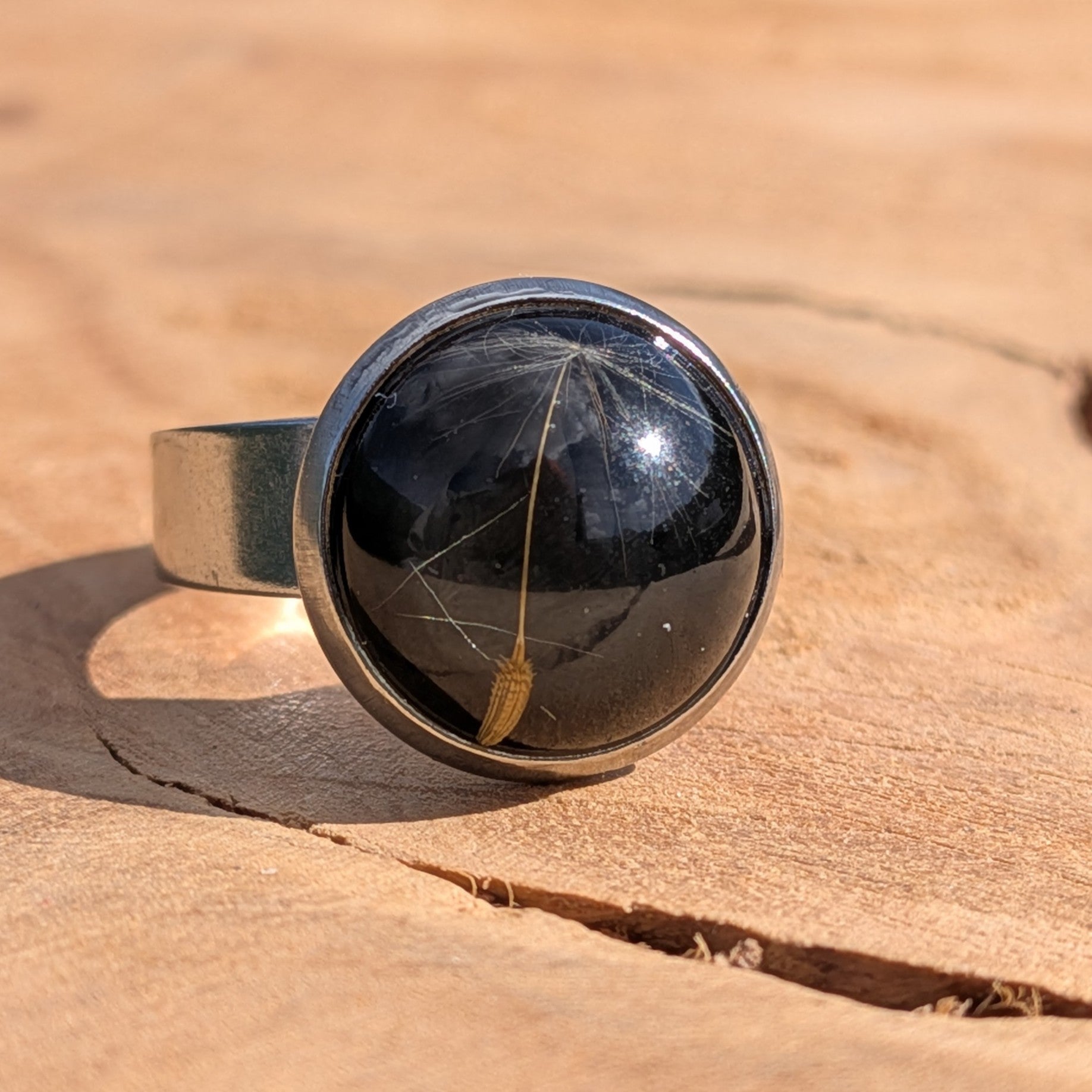 Black dandelion seed resin ring on wood, 14mm round stainless steel bezel with wide band – EL-Creations