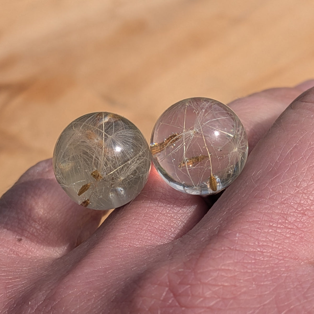 Adjustable resin ring with preserved dandelion, minimalist botanical jewelry Belgium