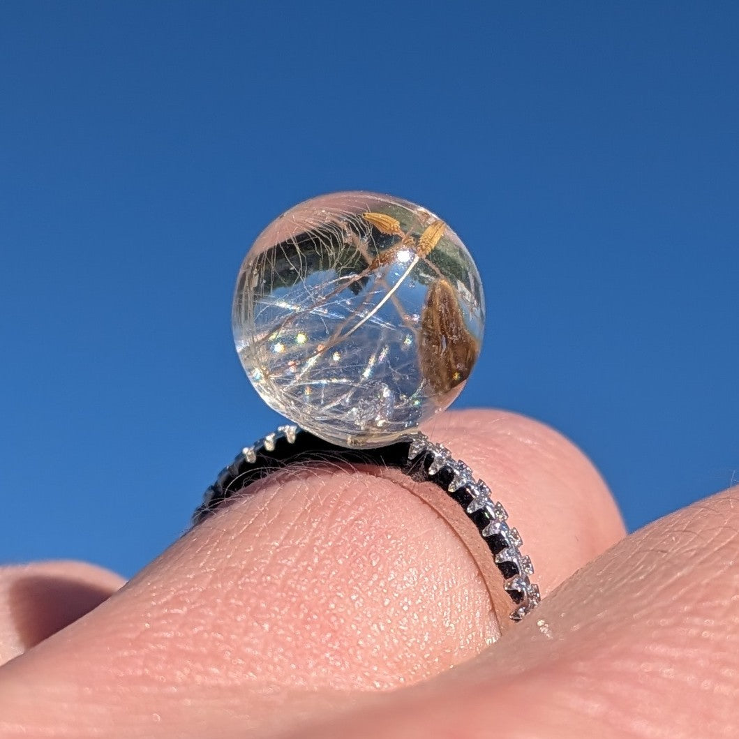 Handmade real dandelion resin ring – EL-CreationS