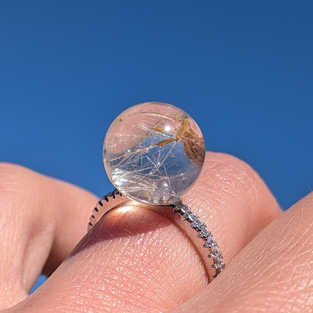 Botanical silver ring with real dandelion– EL-CreationS