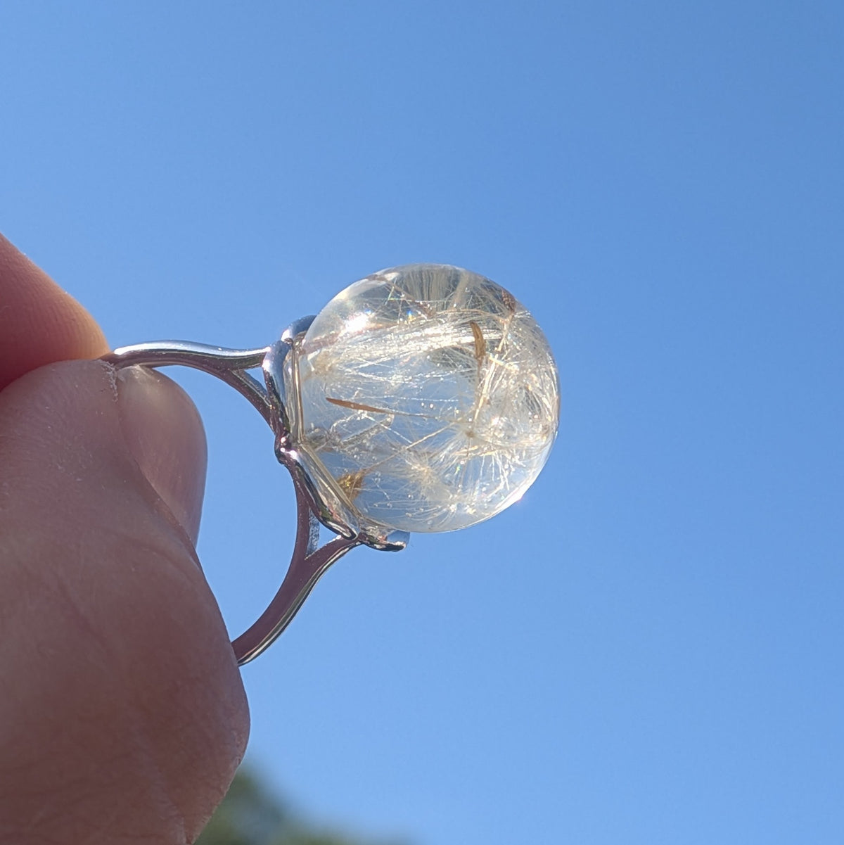 Real dandelion resin ring – 15mm dome – adjustable silver band – EL-CreationS