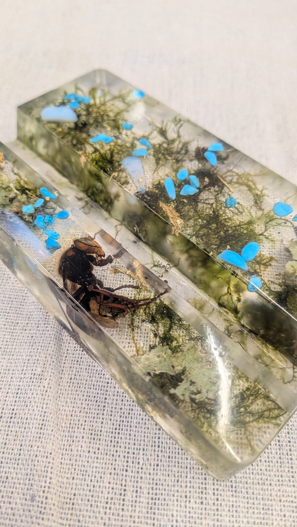 Resin Phone Stand - Beetle, Moss & Blue Stones