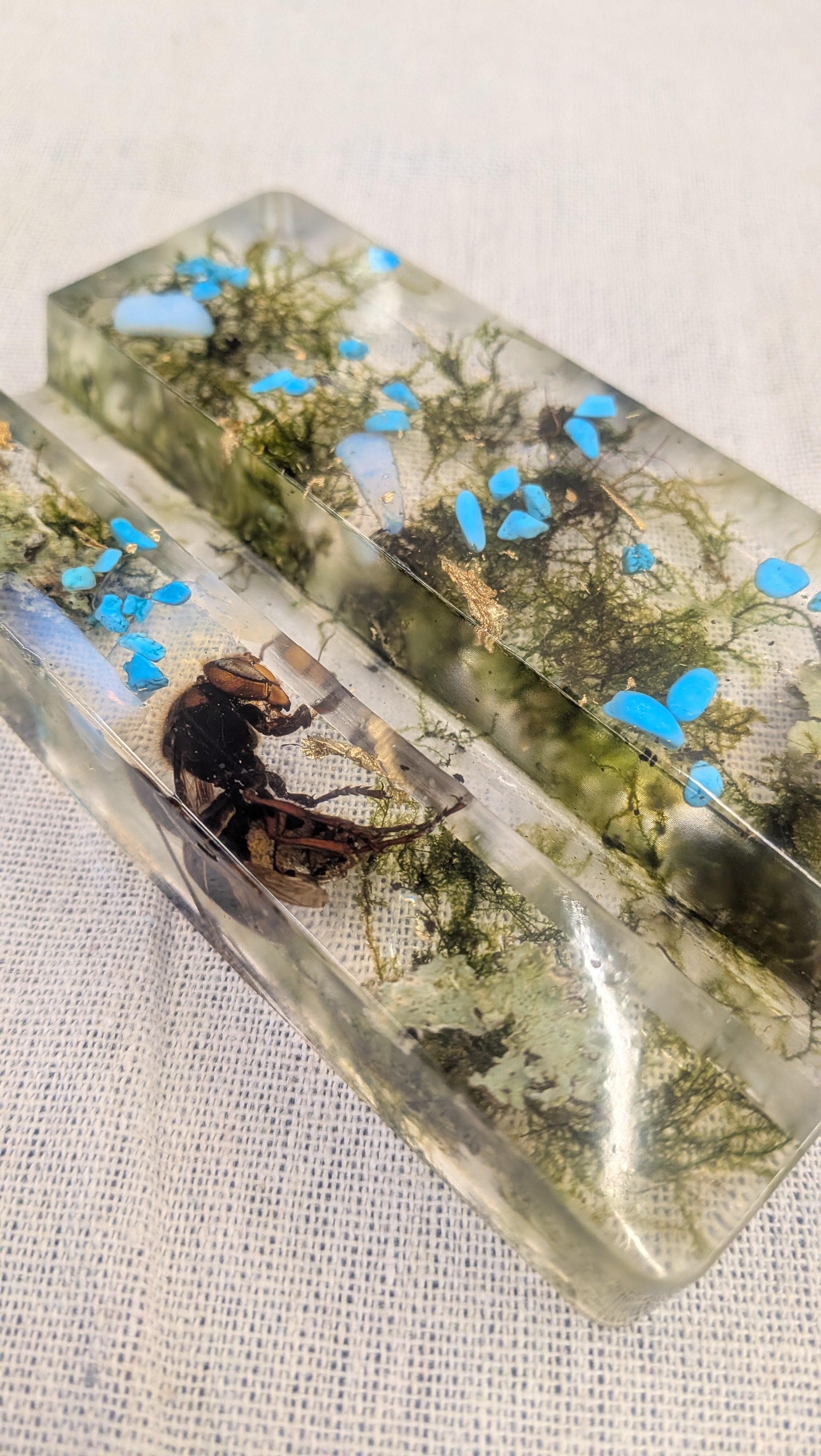 Resin Phone Stand - Beetle, Moss & Blue Stones