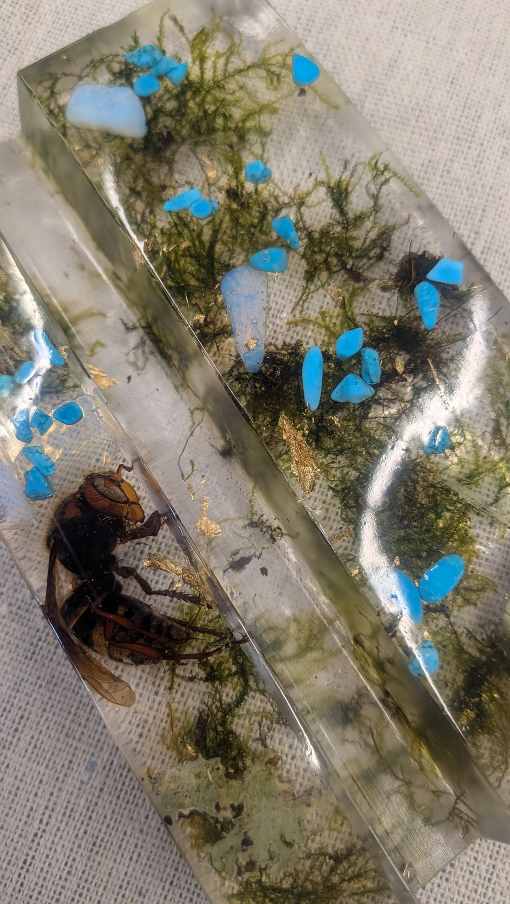 Resin Phone Stand - Beetle, Moss & Blue Stones