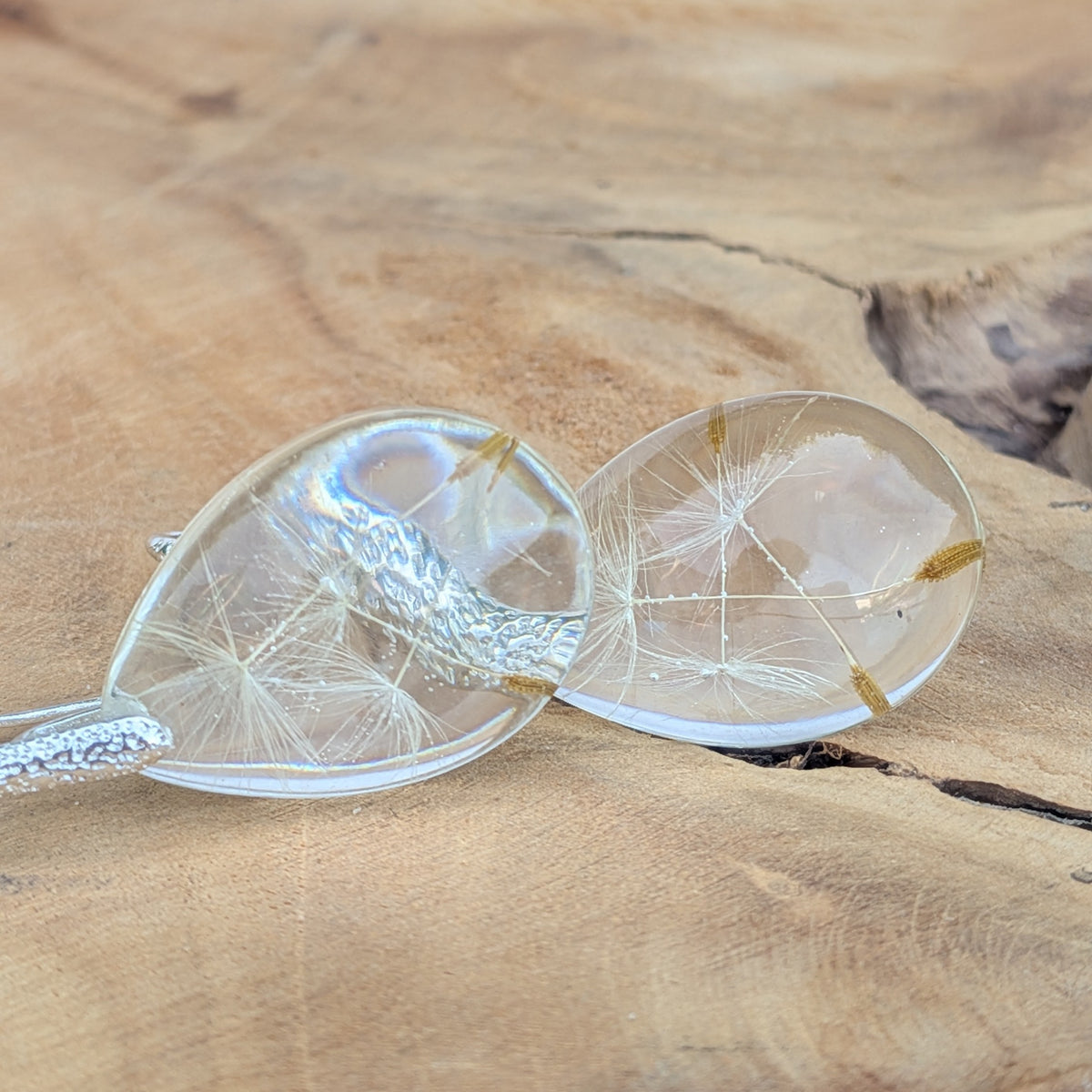 Lightweight clear resin earrings with real dandelion seeds – EL-Creations