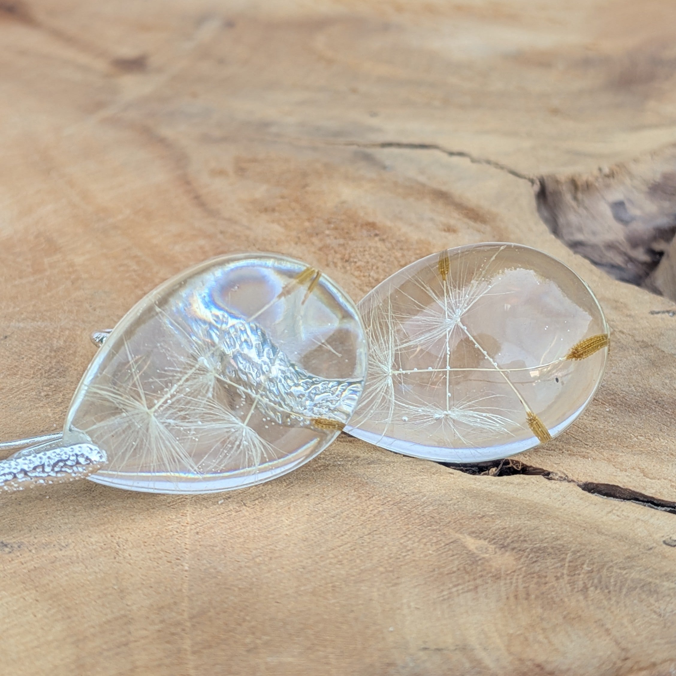Lightweight clear resin earrings with real dandelion seeds – EL-Creations