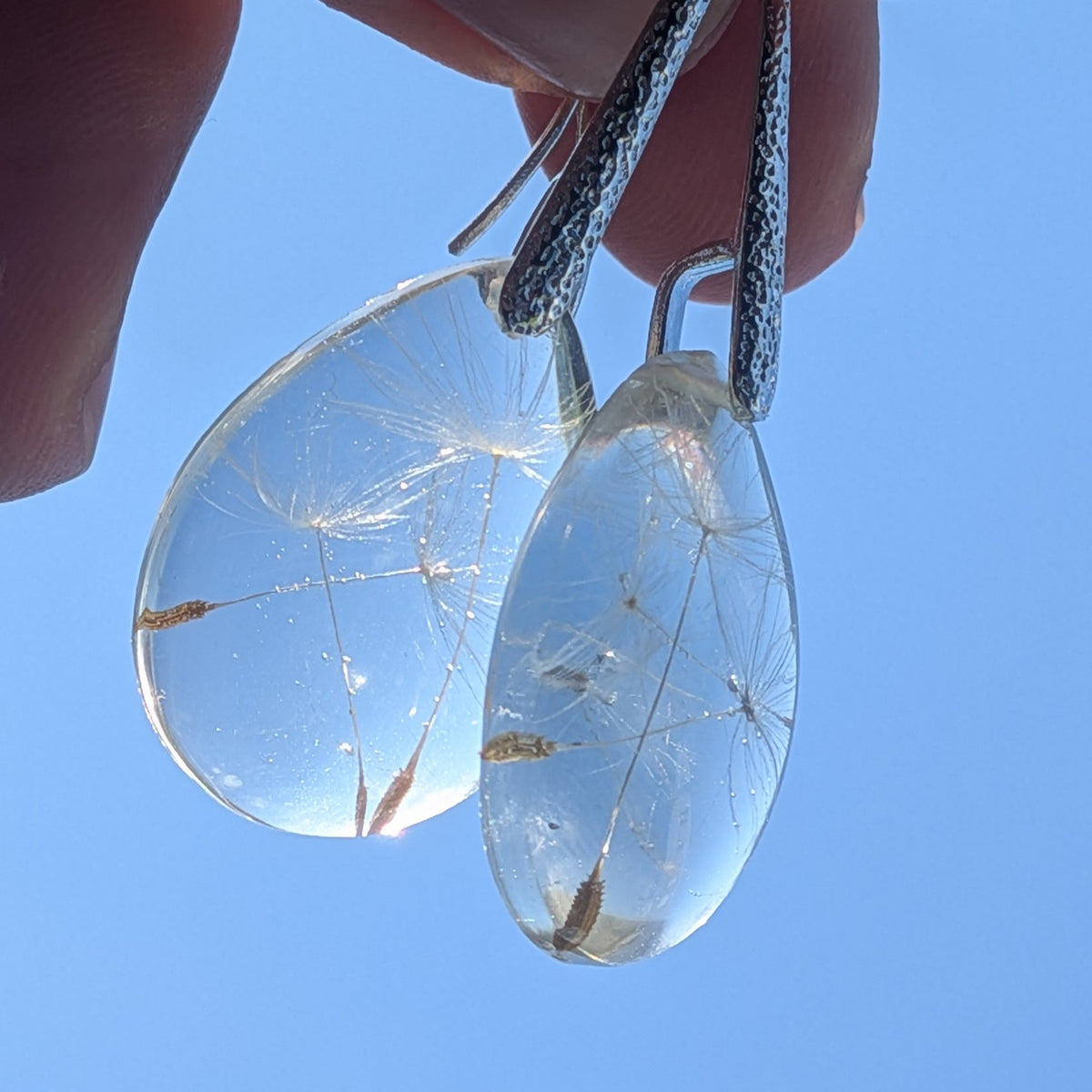 Real dandelion seed resin teardrop earrings – EL-Creations