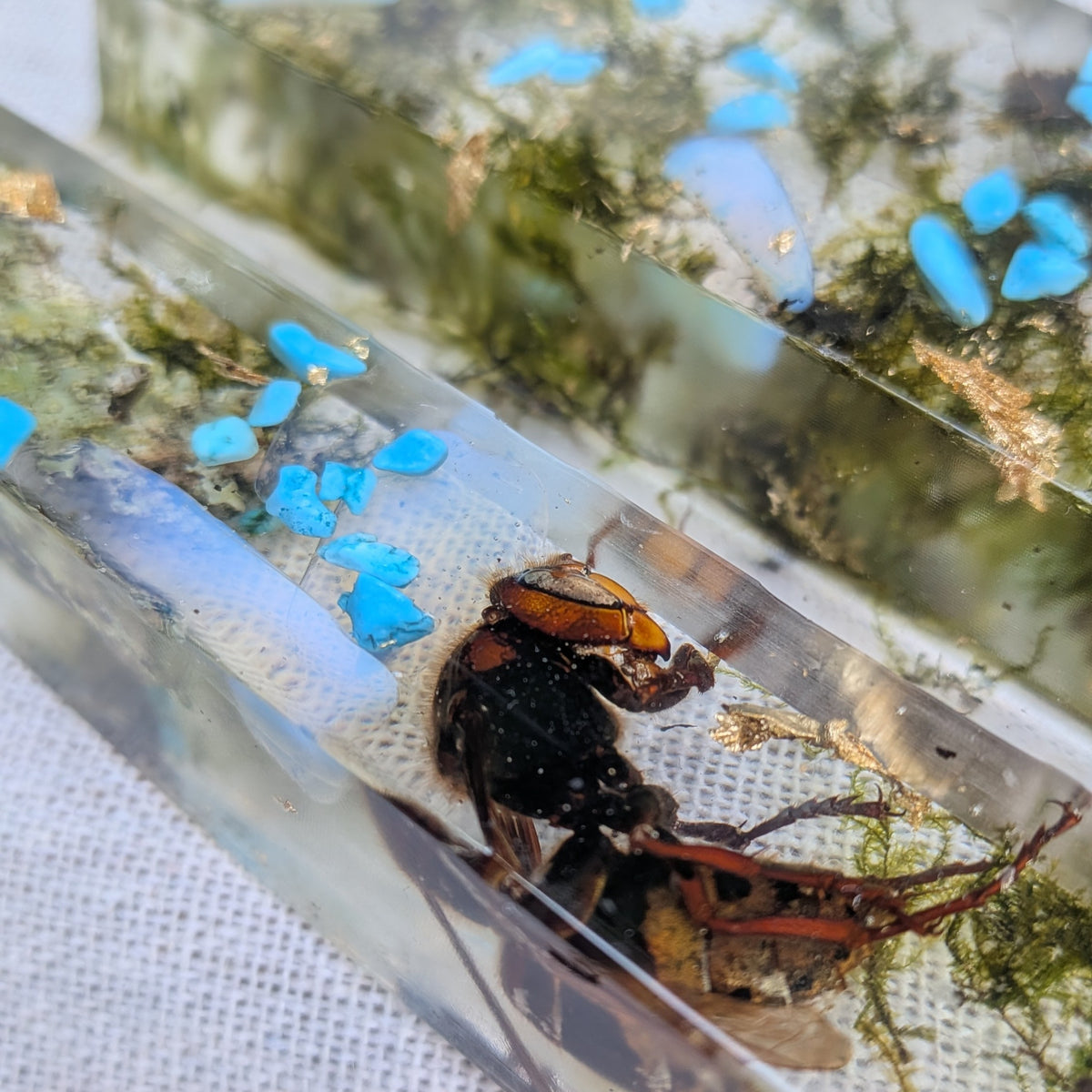 Handmade beetle resin desk accessory – EL-CreationS