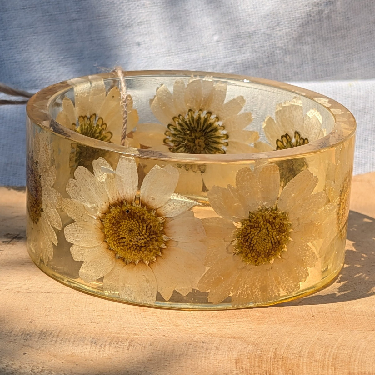 Real pressed daisy flower bangle bracelet worn on wrist by EL-Creations